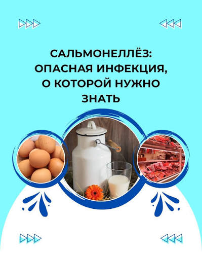 Профилактика сальмонеллеза